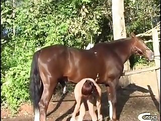Floor So Doggy Can Drink Some Water