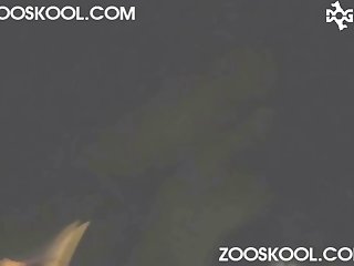 استدا ت وأمسكت على الفو بالقضيب