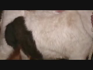 Minimares
