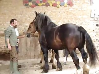 4emesaut Retq