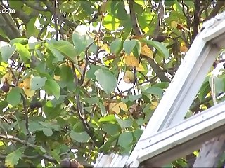 You Will Be Lactating. You Will Need To Be Milked Twice bitch