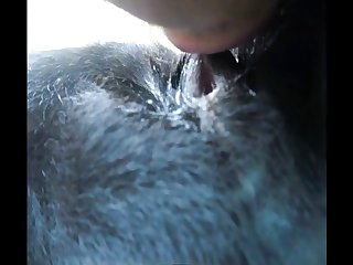 Aluzky Llab Fingerjob 3 Licking Dog Pussy