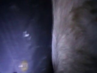 Animal Orgy