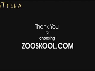 Zooskool Stray X Dog And Denim 002