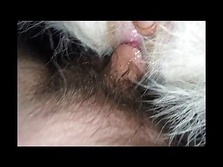 Is Pig The Dirtiest Animal