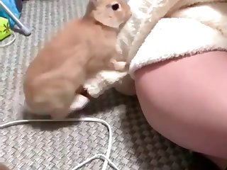 Zoob Tube