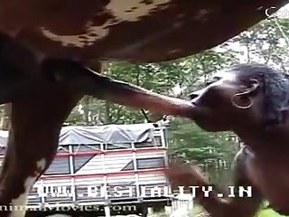 Porn Vore Animal