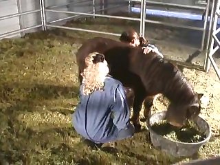 Animal Porn Laws
