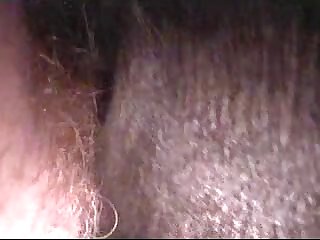 Free Video Animal Porn