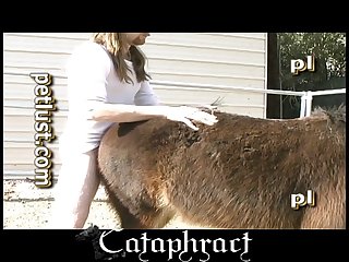 Female And Animal Porn