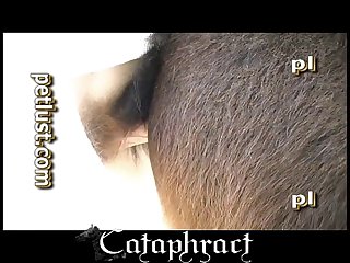 Female And Animal Porn