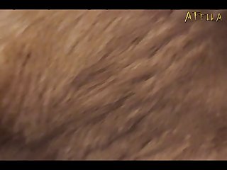 Zoofilia Perra En Selo