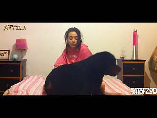 Porno De Zoofilia Con Caballo