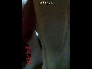 Zoofilia Biblia
