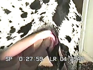 Extreme Asian Hardcore Porn