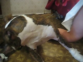 Extreme Tall Girl Porn