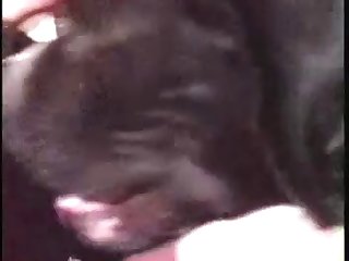 Hillary Scott Extreme Porn