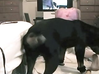 Extreme Deepfake Porn