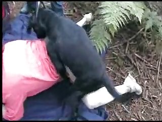 Extreme Sissy Porn Captions