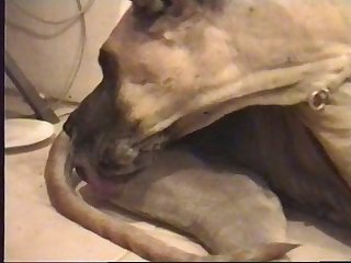 Extreme Ball Pumping Porn