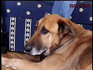 Sounding Porn Extreme