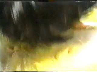 Animal Porn Extreme Cumming