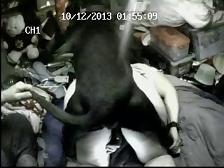 Porn Violent Extreme