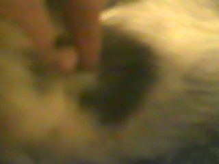 Extreme Height Difference Porn