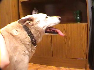 Extreme Cum In Mouth Porn