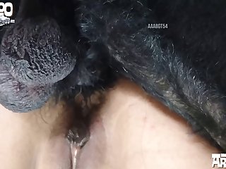 Granny Extreme Anal Porn