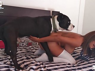 Dog Fuck Pussy