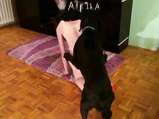 Zooxnxx