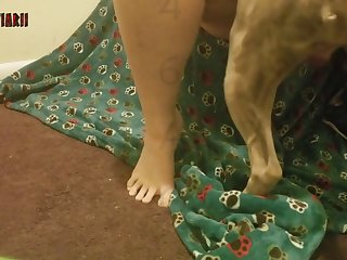 Dogs Licking Dick