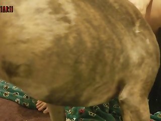 Dogs Licking Dick