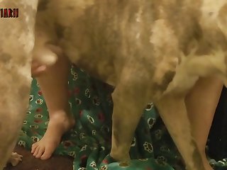Dogs Licking Dick