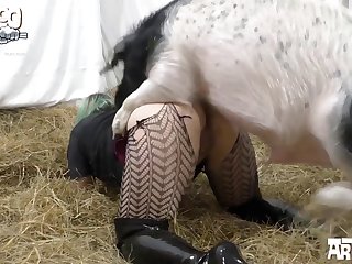 Animal Have Sex With Women