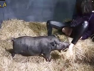 Animal Can Change Sex