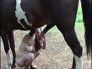 Game Sex Animal
