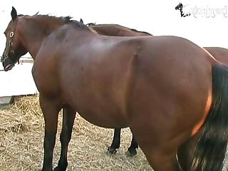 Out Of Her Dilated Anus. Grabbing Steve's Cock I Sucked