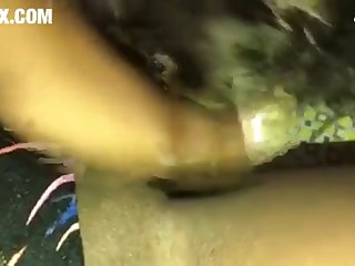 Horse Dildo Porn