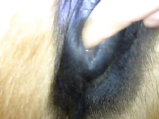 Norsk Amator Porno Animal Porno