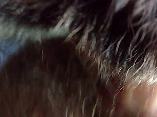Animal Porno Game