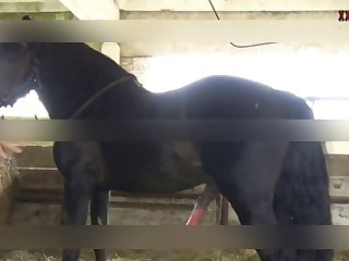 Porn Xxx Slut