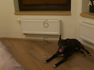 Sophie Dee Star Porn Xxx