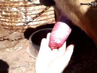 Zoo Porn Horse Compilation