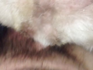 Large Animal Sex Clips