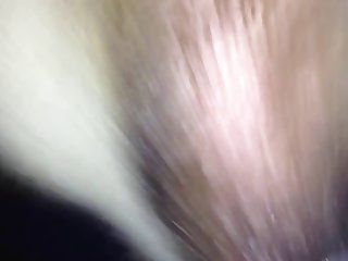 Large Animal Sex Clips