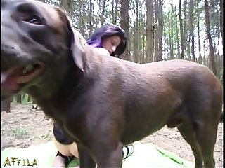 Animal Sex In Denmark