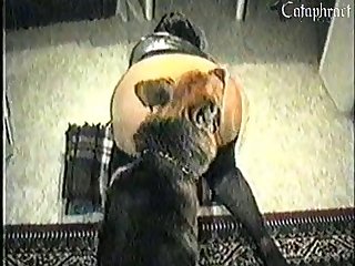 Catherine Ii Bestiality