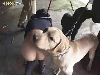 Teen Home Dog Porn